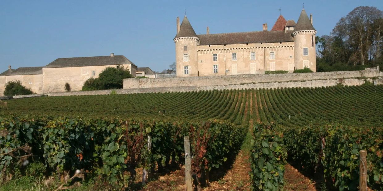 Historic chateau with vineyard under clear blue sky.
