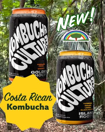 kombucha culture kombucha in cans with a background of costa rican jungle