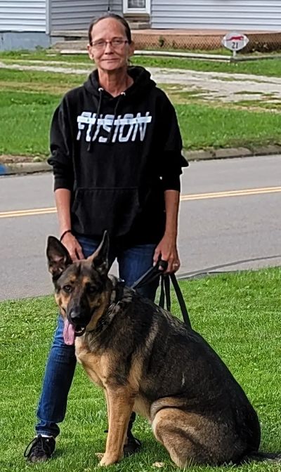 place training sits down stay training. puppy and dog training          puppy training off Leash