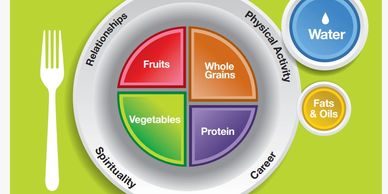 Nutrition Plate