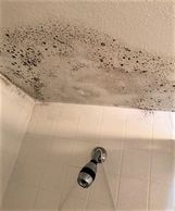 A Shower ceiling covered in mold growth from an above unit plumbing leak.

Photo courtesy of Tim Sco