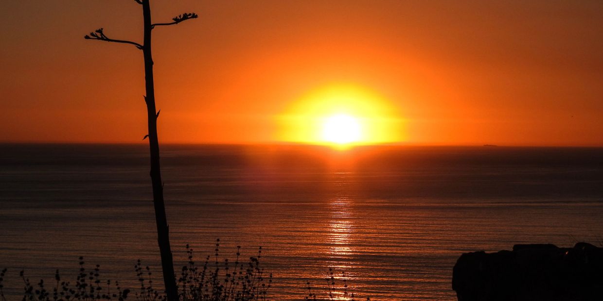 Sunset of Pacific Coast Highway

Photo courtesy of Lisa Scott
