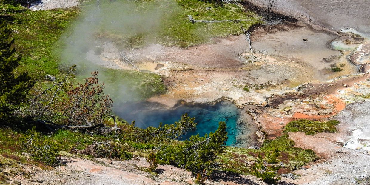 Hot spring in Yellowstone Park. 
Photo courtesy of Lisa Scott