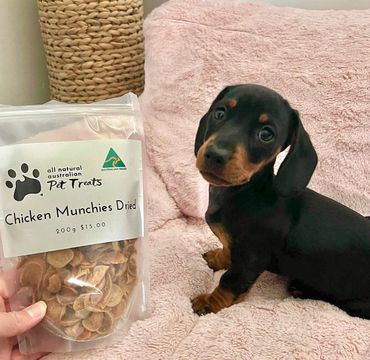 Lilly the sausage with our classic chicken munchies