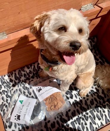 Murphy the cavoodle can't stop smiling with our lamb liver and chicken munchies