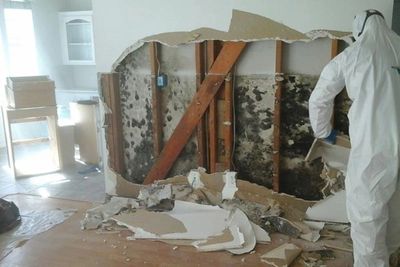 Person in protective gear removing moldy drywall from a damaged wall.