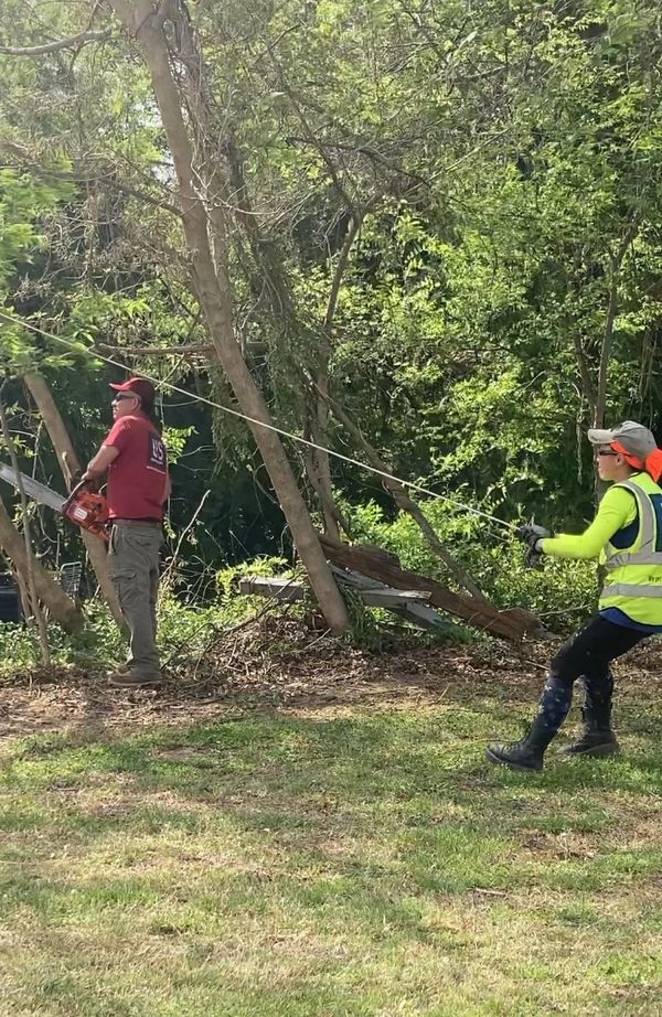 Cutting down a tree