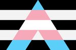 image of LGBTQ Transgender (Trans) and  ally flag