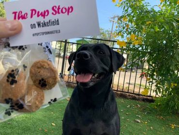 The Pup Stop provides free dog treats and poop bags, and encourages support of animal charities.