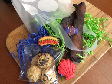 The Pup Stop's amazing (and free!) dog treats are handcrafted and donated by The Doggie Express!