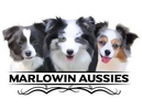 MarLoWin Aussies