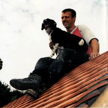 Roofing Dog