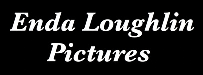 Enda Loughlin Pictures