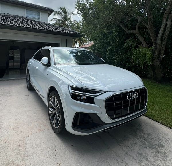 Hammocks Window Tinting