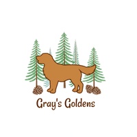 Gray's Goldens
