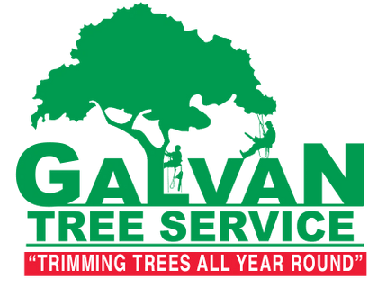 Galvan Tree Service