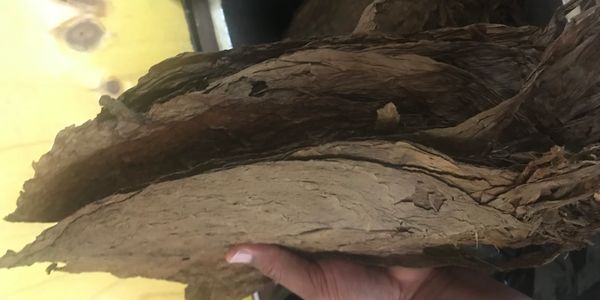 “Diamondback Premium Cigars stands out for its exceptional quality of tobacco and raw materials each