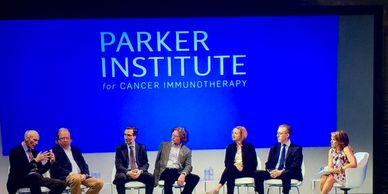 Complete AV installations by BCT Builders