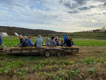 CSA Farmhouse Nashville TN community supported agriculture organic local produce fruit vegetables TN