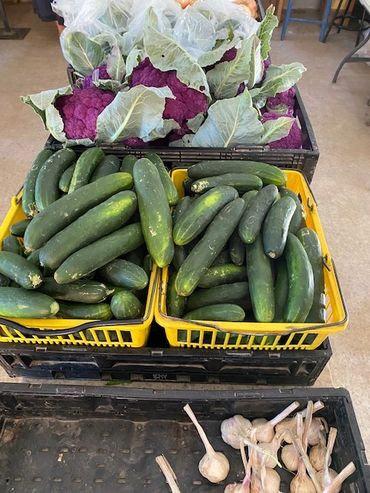 CSA Farmhouse Nashville TN community supported agriculture organic local produce fruit vegetables TN