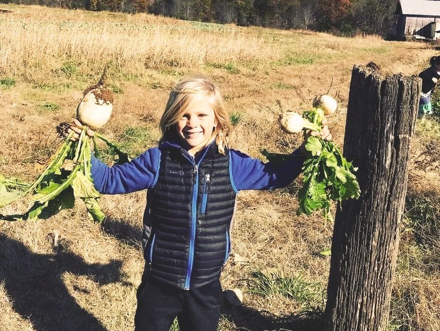 CSA Farmhouse Nashville TN community supported agriculture organic local produce fruit vegetables TN