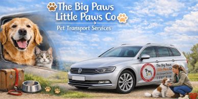 Advert for pet transport by The Big Paws Little Paws Co.