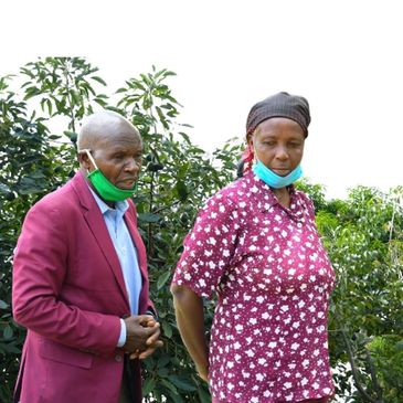 Biocado: Organic Avocado Exporter Kenya