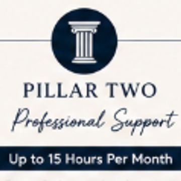 Pillar Two: Professional Support, 15 hours per month.