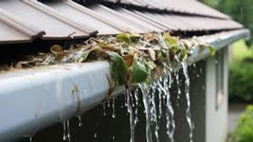 Overflowing gutter with leaves and water pouring down during rain.