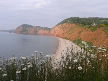 Peak Hill looking towards Ladram Bay