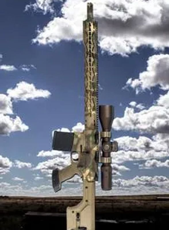 Custom built DEZ Tactical Arms AR-30