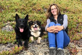 Happy Owner and Dogs