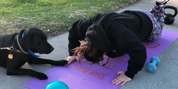 Dog training human