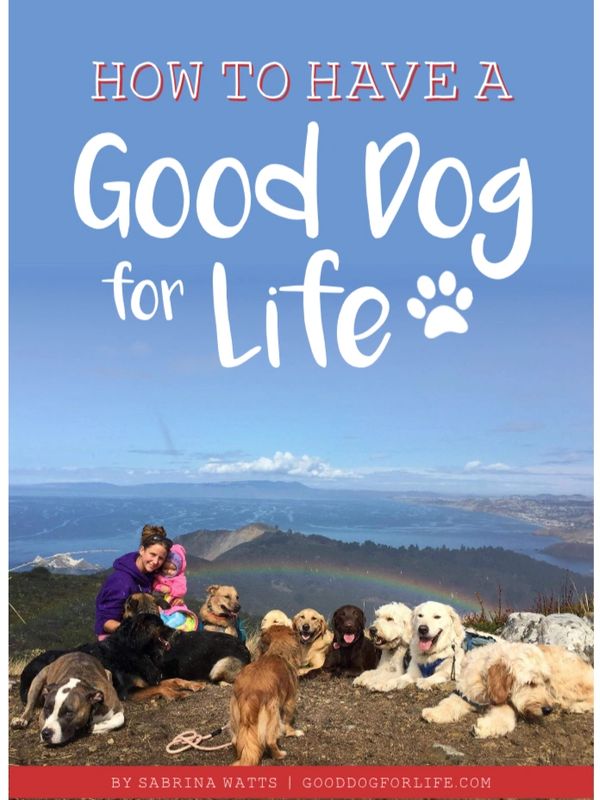 Good Dog for Life Book