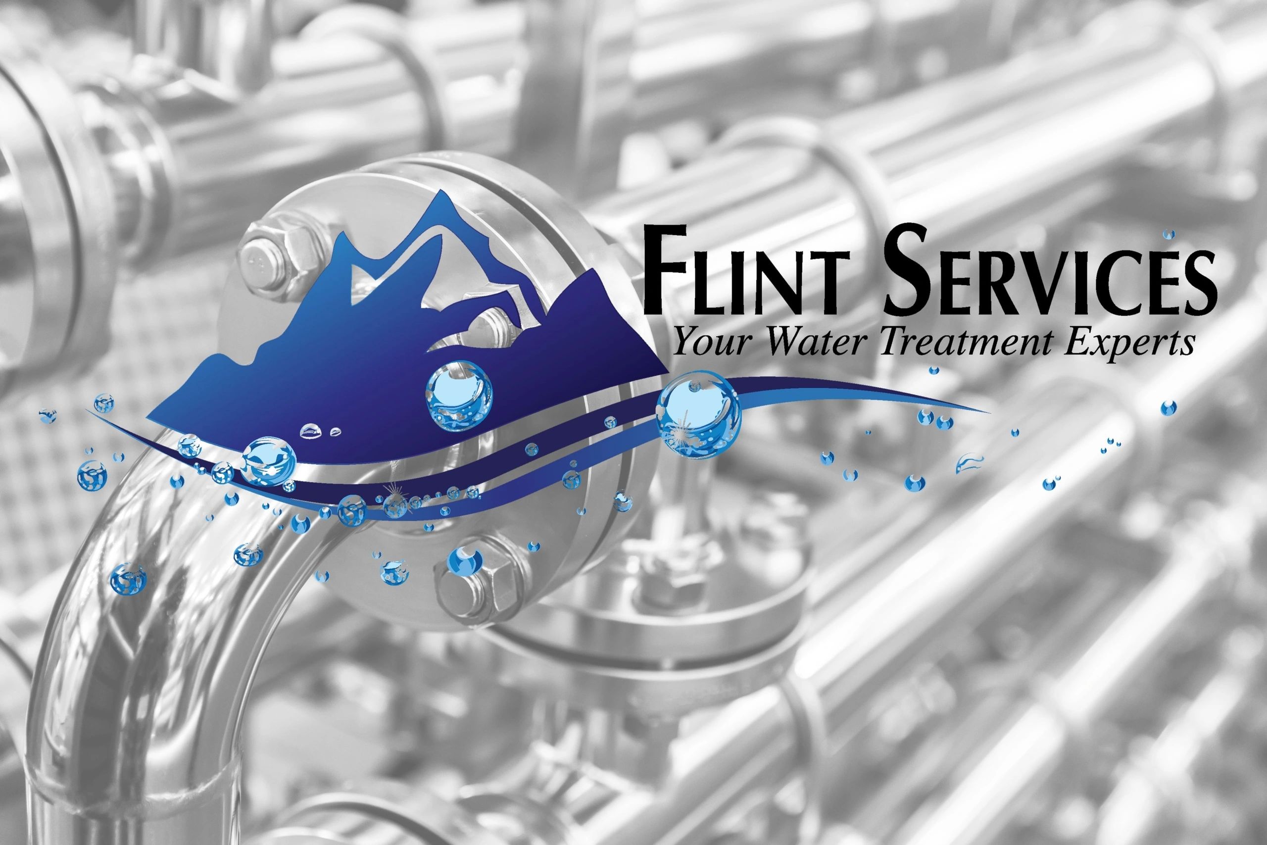 Flint Services