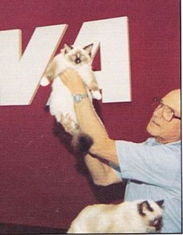 Denny Dayton of Blossom-Time Cattery ready to export, Lad and Lass, to Lulu Rowley in the UK, 1981