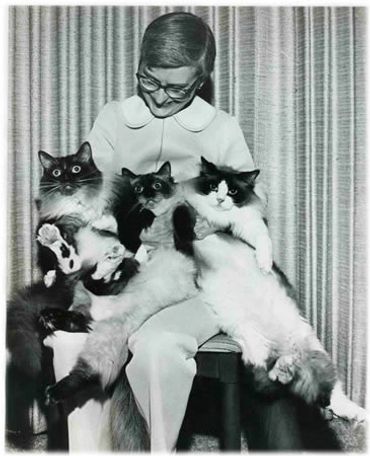 Laura Dayton of Blossom-Time Cattery holding Lovable, Phil and Floppy, 1973