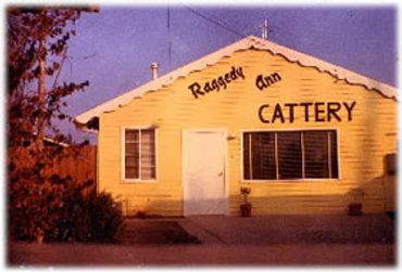 Raggedy Ann Cattery