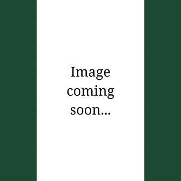 Image is coming soon. Golf travel in Europe.