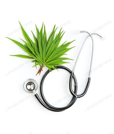 MEDICAL USES OF MARIJUANA