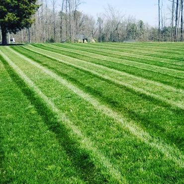 Freshly mowed green lawn with striped mowing pattern under a clear sky.