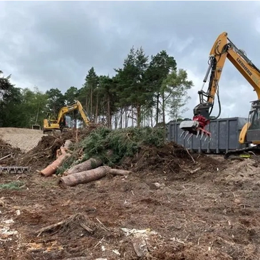 An ECoW overseeing tree felling and vegetation removal
