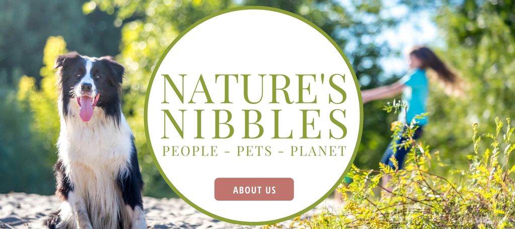 Natures Nibbles Banner with About us button 