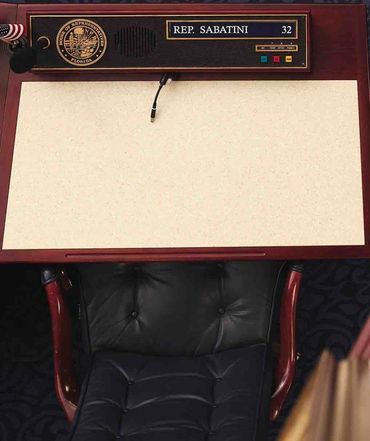 Sabatini 4 Congress: VOTE against Sabatini for Congress