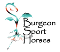 Burgeon Sort Horses