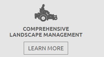 comprehensive landscape management