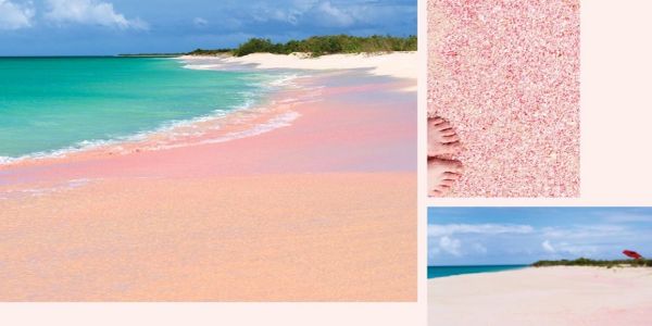 Scenic pink sandy beach with turquoise waters and clear skies.