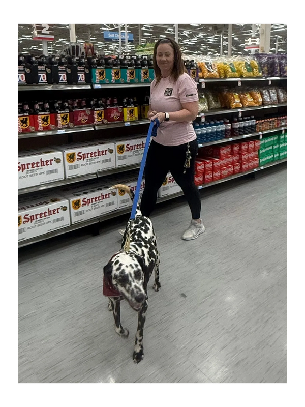Woman walking a Dalmatian dog on a leash in a grocery store aisle.