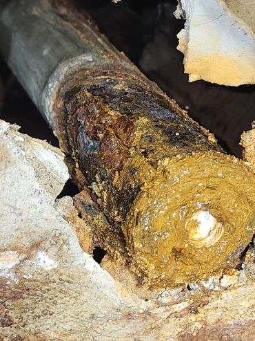 Close-up of a tree branch with rough bark and a shiny cut end.