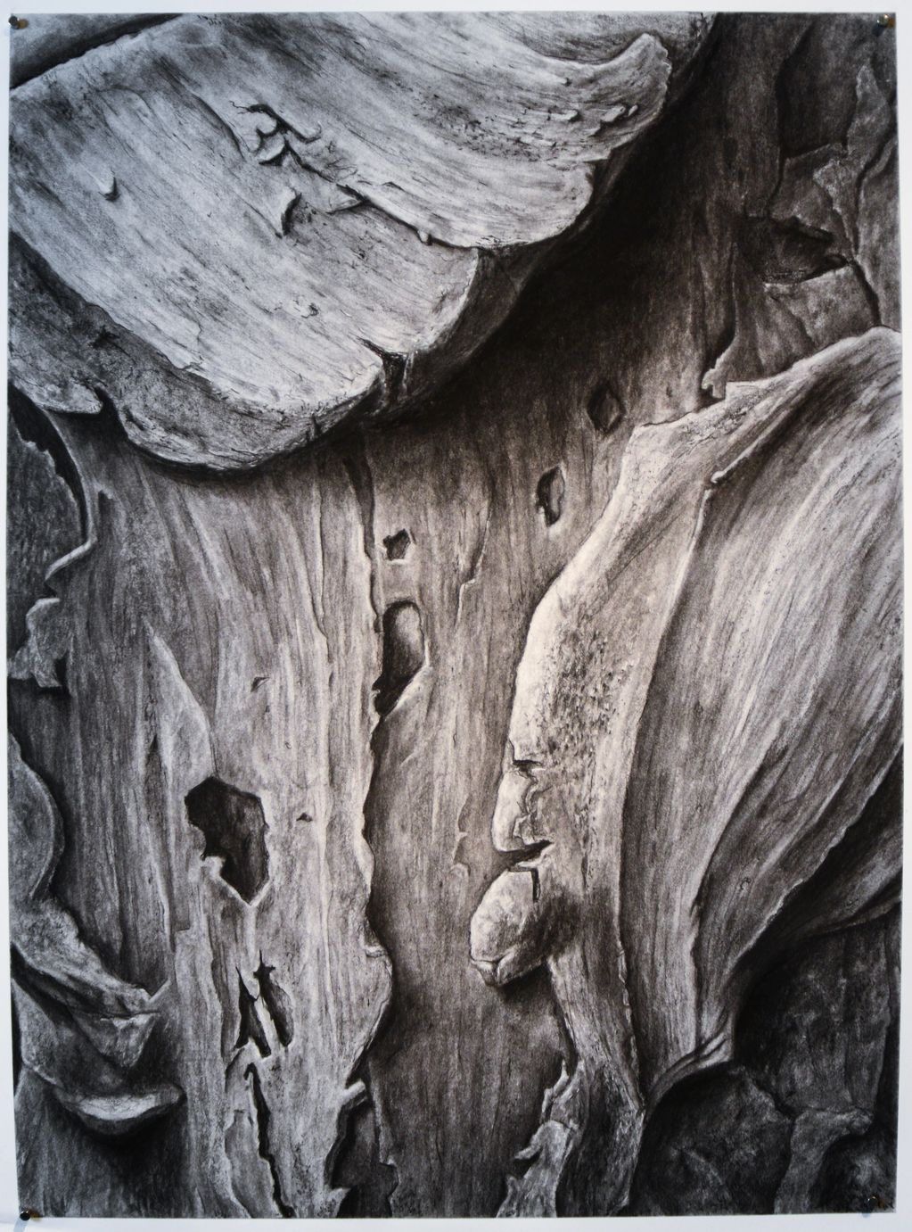 Black and white charcoal and graphite rendering of texture surface